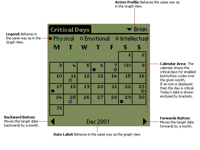 Critical Calendar View